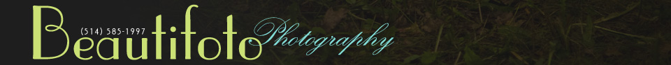 Beautifoto Blog logo