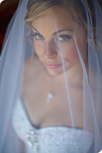 the bride under the veil
