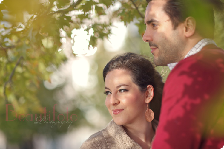 a portrait fo the couple during an engagement session