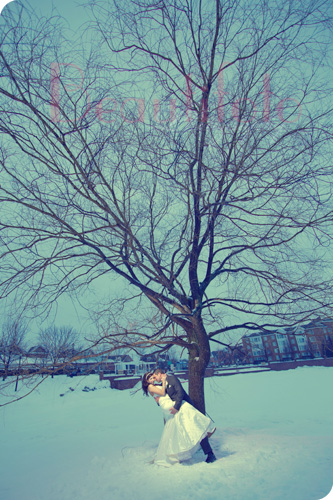 the bride and groom kissing under a tree in the middle of winter with snow all around them